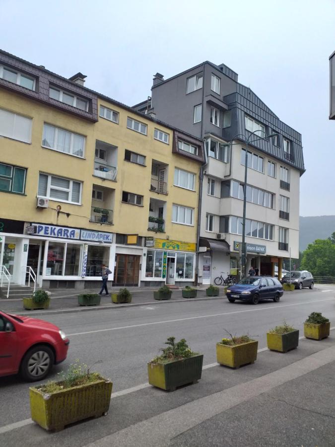 Trosoban Apartman Sarajevo, Ilidza Centar المظهر الخارجي الصورة