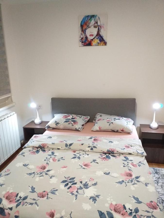 Trosoban Apartman Sarajevo, Ilidza Centar المظهر الخارجي الصورة