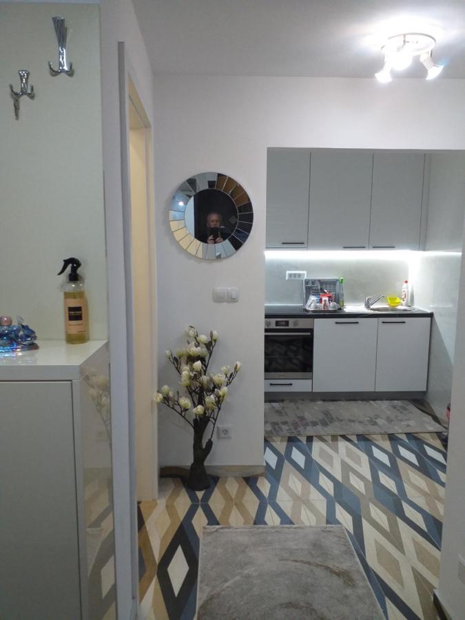 Trosoban Apartman Sarajevo, Ilidza Centar المظهر الخارجي الصورة